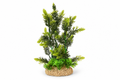 Kunstplant aquarium decoratie